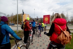 Salaspils saule