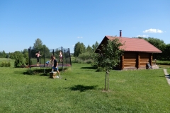 29