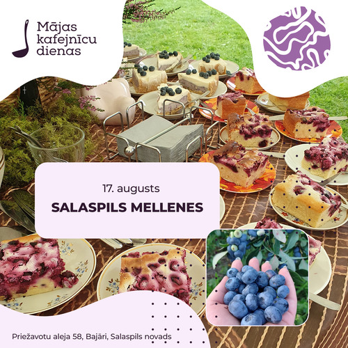 salaspils mellenes