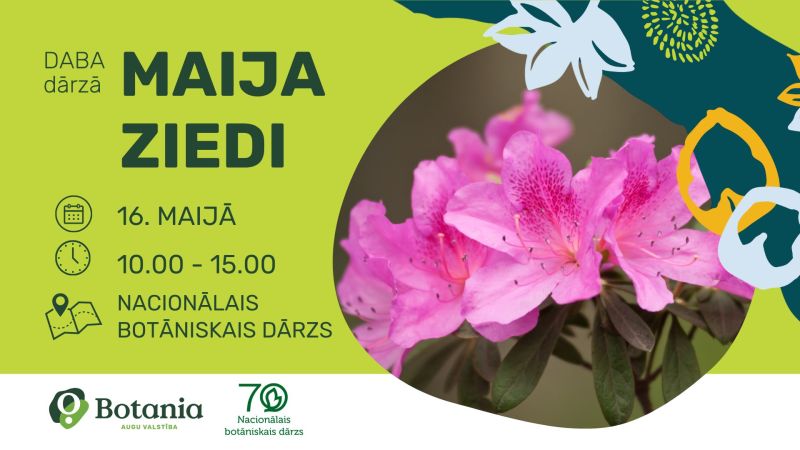 Spilgti rozā ziedoši ziedi reklamē "DABA dārzā MAIJA ZIEDI" pasākumu NACIONĀLAJĀ BOTĀNISKAJĀ DĀRZĀ 16. MAIJĀ, no 10.00 līdz 15.00.