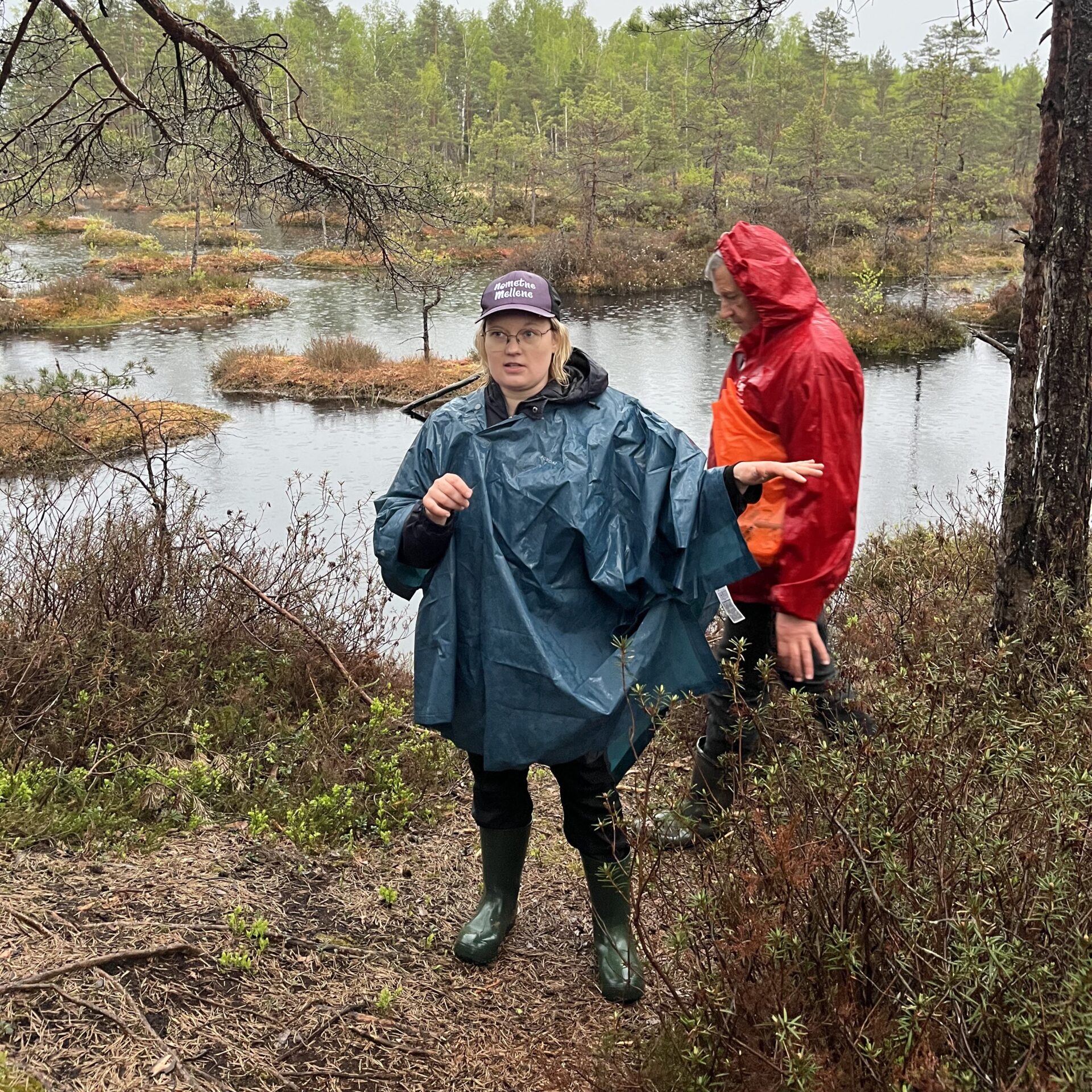 Divi cilvēki, tērpušies lietusmēteļos un gumijas zābakos, pārgājienā pa Salaspils Zeltiņu purvu. Redzamas ūdens lāmas un mazas saliņas.