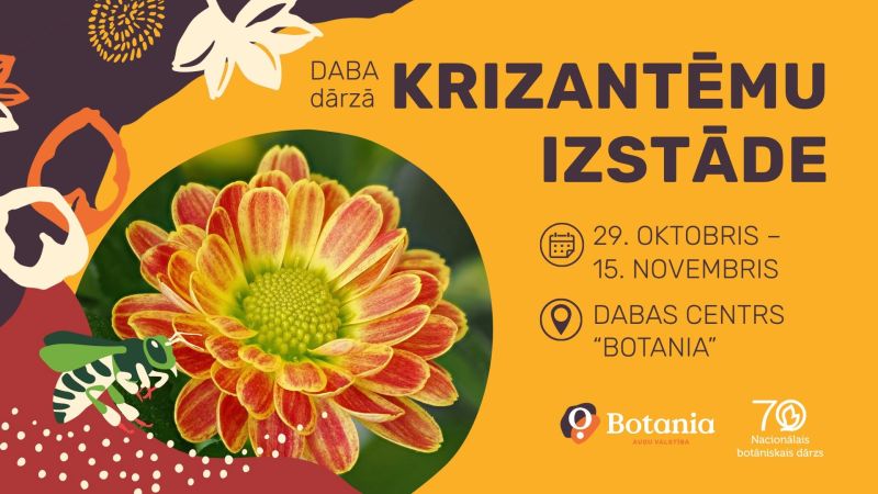 Redzams liels oranži sarkans krizantēmas zieds un teksts: DABAS dārzā KRIZANTĒMU IZSTĀDE, 29. OKTOBRIS – 15. NOVEMBRIS, DABAS CENTRS "BOTANIA".